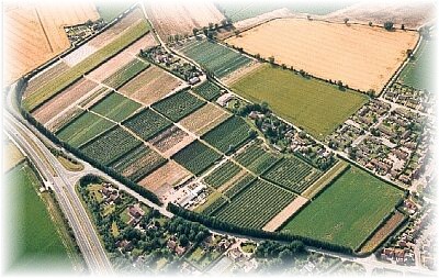 Garden Farm overhead