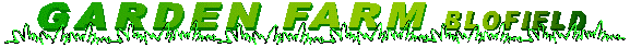 banner.gif - 10943 Bytes